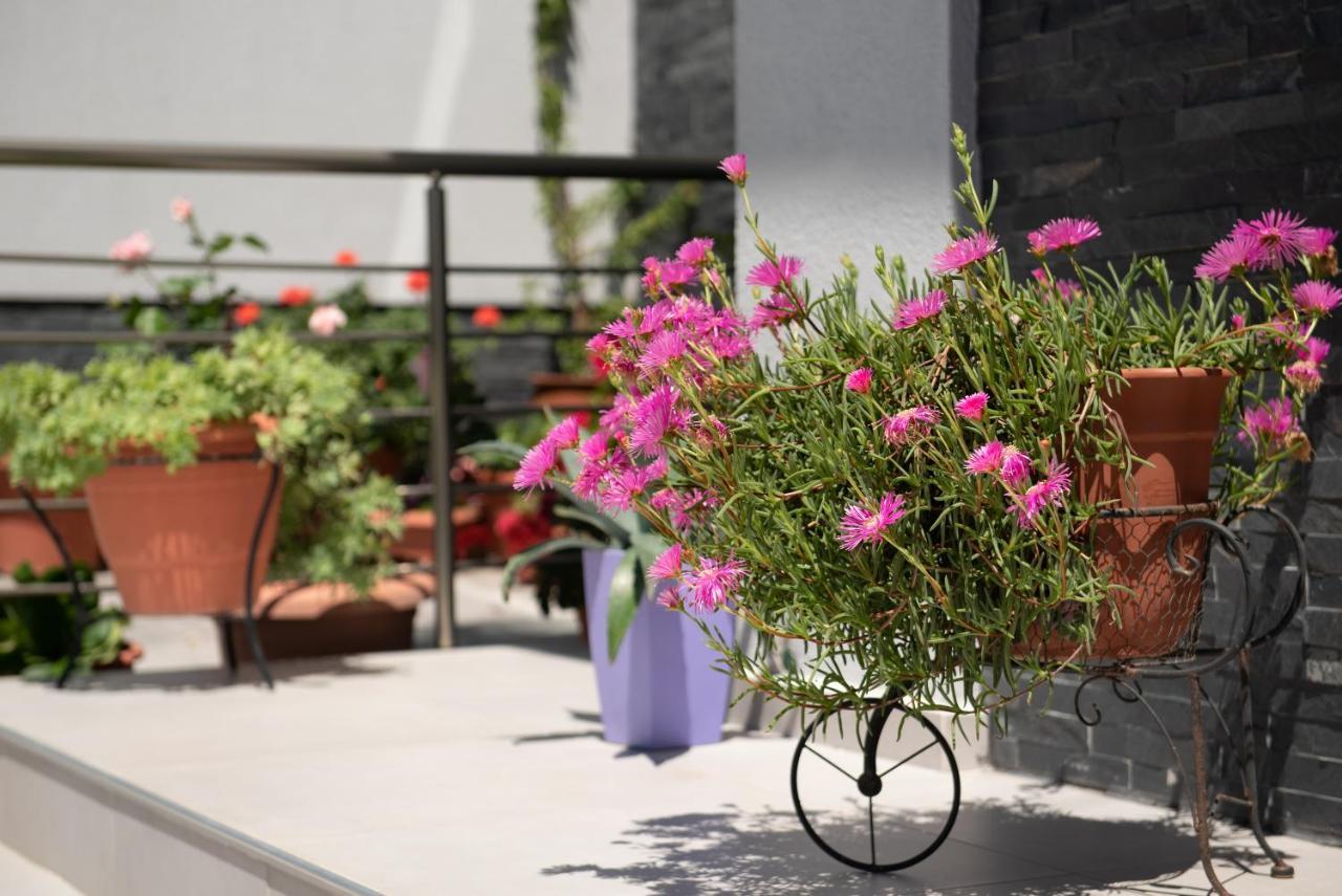 Almare Seaside Studios & Suites - Sarti Sithonia Экстерьер фото